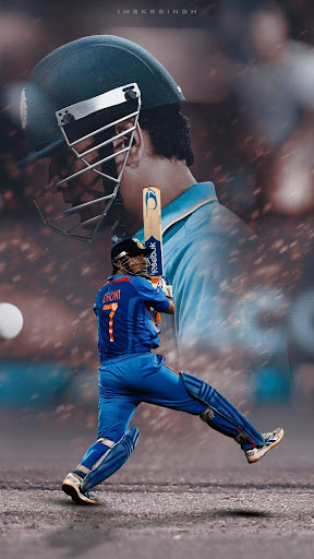 msd image